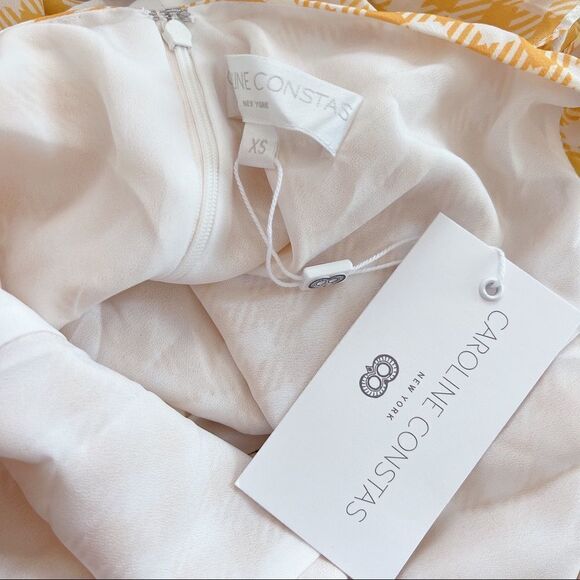 CAROLINE CONSTAS Silk Quinn Dress - Picture 8 of 10